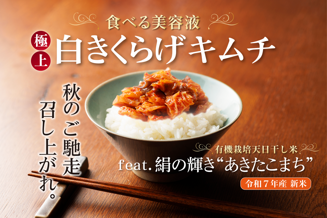 クラウドファンディング開催中