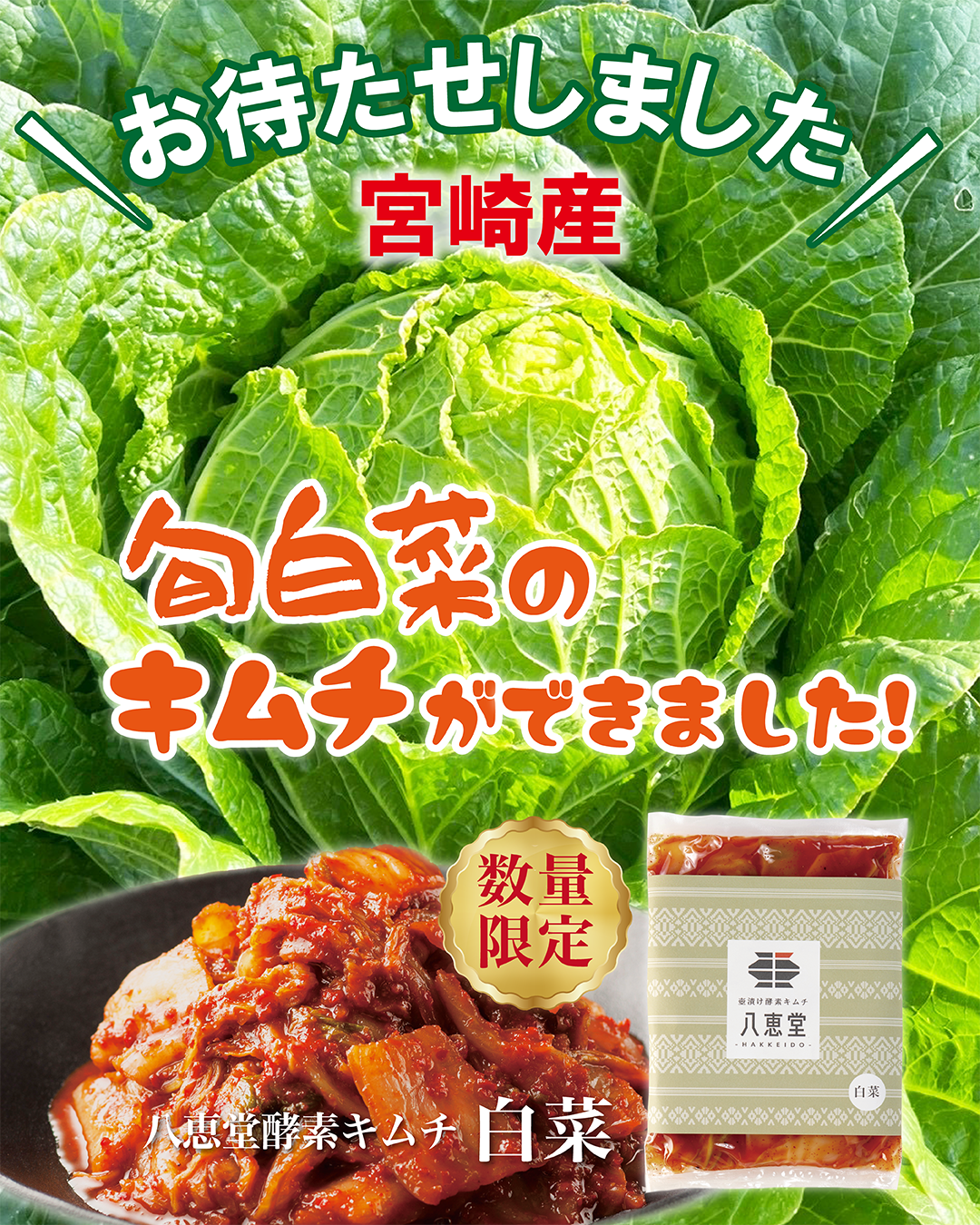 「旬」白菜キムチを召し上がれ✨キャンペーン開催中