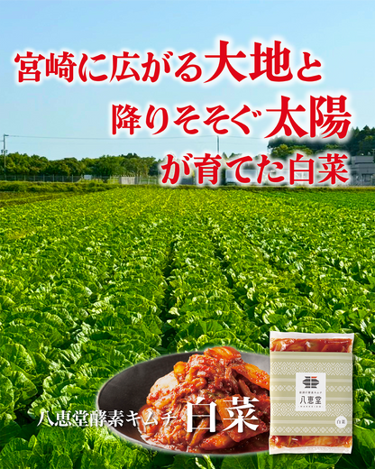 「旬」白菜キムチ【２個】‗８％OFF