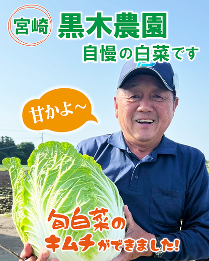 「旬」白菜キムチ【２個】‗８％OFF